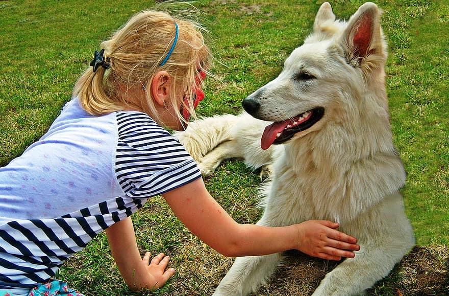pets dogs animals dog schafer dog friendship friends child girl