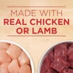 Purina ONE Tender Cuts Wet Dog Food, in Gravy Variety Pack 2 Flavours - 368 g Can (12 Pack) - Image 5