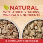 Purina ONE Tender Cuts Wet Dog Food, in Gravy Variety Pack 2 Flavours - 368 g Can (12 Pack) - Image 9