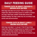 Purina ONE Tender Cuts Wet Dog Food, in Gravy Variety Pack 2 Flavours - 368 g Can (12 Pack) - Image 11