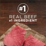 Purina ONE Classic Ground True Instinct Wet Dog Food, Beef & Bison - 368 g Can (12 Pack) - Image 5