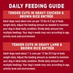 Purina ONE Tender Cuts Wet Dog Food, in Gravy Variety Pack 2 Flavours - 368 g Can (12 Pack) - Image 12