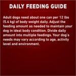 Purina ONE Classic Ground True Instinct Wet Dog Food, Beef & Bison - 368 g Can (12 Pack) - Image 11