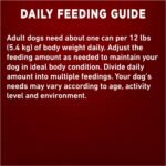 Purina ONE Classic Ground True Instinct Wet Dog Food, Beef & Bison - 368 g Can (12 Pack) - Image 12