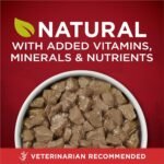 Purina ONE Tender Cuts True Instinct Wet Dog Food, in Gravy Variety Pack 2 Flavours - 368 g Can (6 Pack) - Image 9