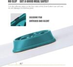 Fun Feeder Slow Bowl, Dog Slow Feeders Bowls Anti-Obesity&Choking&Overeating, Dog Puzzle Healthy Anti-Slip Lick Treat Bowls Dishes Maze Interactive Puzzle(Dark Green) - Image 4