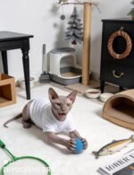 50 Cat Toy Balls Interactive Sturdy Play Toys Soft Fuzzy Balls for Indoor Fun and Exercise Suitable for All Cat Breeds - Image 9