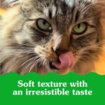 GREENIES FELINE SMARTBITES Cat Treats Healthy Indoor Natural Dental Care, Tuna Flavour, 2.1oz Pouch - Image 3