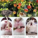 Apple Tree Sticks 500g, Natural Wood Molar Sticks, Pet Chew Toys for Guinea Pig, Chinchilla, Rabbit, Hamster, Bunny, Small Animal Molar Snacks - Image 4