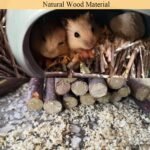 Apple Tree Sticks 500g, Natural Wood Molar Sticks, Pet Chew Toys for Guinea Pig, Chinchilla, Rabbit, Hamster, Bunny, Small Animal Molar Snacks - Image 5