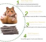 Apple Tree Sticks 500g, Natural Wood Molar Sticks, Pet Chew Toys for Guinea Pig, Chinchilla, Rabbit, Hamster, Bunny, Small Animal Molar Snacks - Image 6