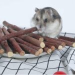 Apple Tree Sticks 500g, Natural Wood Molar Sticks, Pet Chew Toys for Guinea Pig, Chinchilla, Rabbit, Hamster, Bunny, Small Animal Molar Snacks - Image 7