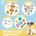 Puppy Toys 21 Pack, Small Dog Chew Toys with Rope Toys for Teething Pet Cute Squeak Toy with Treating Ball for Puppy, Small Dogs - Image 3