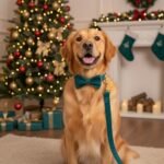 PETDURO Custom Dog Collar Personalized with Name Engraved Gold Metal Buckle for Large Medium Small Boy and Girl Dogs - Dog Leash and Bow Tie Set Available - Soft Comfy Velvet (Gem Green, M) - Image 4