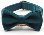 PETDURO Custom Dog Collar Personalized with Name Engraved Gold Metal Buckle for Large Medium Small Boy and Girl Dogs - Dog Leash and Bow Tie Set Available - Soft Comfy Velvet (Gem Green, M) - Image 9
