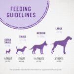 Caledon Farms Crunchy Biscuits - Chicken with Apple & Blueberry 19.5oz, Dog Treats, Biscuits - Image 9