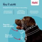 Halti Headcollar - Stop Your Dog Pulling on the Leash. Adjustable, Reflective and Lightweight, with Padded Nose Band. Dog Training Anti-Pull Collar for Medium Dogs (Size 3, Black) - Image 3