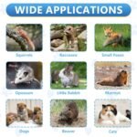 Live Animal Traps - 32" Humane Animal Trap for Stray Cats Raccoons, Squirrel, Skunk, Mole, Groundhog, Armadillo, Rabbit - Humane Rat Trap Indoor Outdoor - Image 6