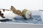 Living World Hay Feeding Station for Pets - Image 3