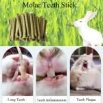 Timothy Hay Sticks, 50PCS Molar Sticks, Natural Timothy Grass Chew Toys, for Rabbit, Hamster, Bunny, Guinea Pig, Chinchilla, Small Animal Molar Snacks - Image 4