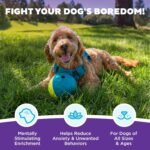 Outward Hound by Nina Ottosson Treat Tumble Interactive Puzzle Ball Dog Toy, Level 1 Beginner, Blue, Small - Image 4