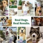 Doggie Dailies 5 in 1 Multivitamin for Dogs - 225 Soft Chews - Dog Multivitamin for Skin and Coat Health, Joint Health, Improved Digestion (Peanut Butter) - Image 8