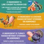 Beyond Grain Free Natural Wet Dog Food, Ground Entree Variety Pack 3 Flavours - 368 g Can (6 Pack) - Image 5