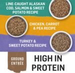 Beyond Grain Free Natural Wet Dog Food, Ground Entree Variety Pack 3 Flavours - 368 g Can (6 Pack) - Image 9