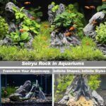 Unocho Seiryu Rock Aquarium Stones 11lb Natural Dragon Stone for Aquascaping Fish Tank Aquarium Landscaping Model Tank Decoration Miniature Fairy Garden(3-8 Inches) - Image 6