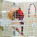 Basic Bird Cage, 24.8inch Parrot Cage (24.8" x 14.6" x 11"),Bird Cage with 1 Ladder, 1 Horizontal Bar, 2 Feeders, and 1 Swing - Image 3