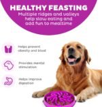 Outward Hound Fun Feeder Slo Bowl, Large Slow Feeder Dog Bowl, 4 Cups, Purple - Image 3