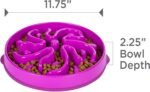 Outward Hound Fun Feeder Slo Bowl, Large Slow Feeder Dog Bowl, 4 Cups, Purple - Image 8