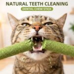 6Pcs Cat Toys Cats Grass Treat for Indoor Cat Edible Grass Kitten Toys Kitty Chew Grass Sticks for Teeth Kitten Snack - Image 3