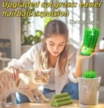 6Pcs Cat Toys Cats Grass Treat for Indoor Cat Edible Grass Kitten Toys Kitty Chew Grass Sticks for Teeth Kitten Snack - Image 7