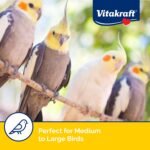 Vitakraft Super Fruit Cocktail Treat for All Parrots and Cockatiels, 20-Ounce Pouch - Image 6