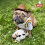 MultiPet MU48375 Plush Dog Toy, Lambchop, 10'', White - Image 9