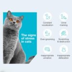 Vetoquinol Zylkene – Veterinary Health Product - Calm and Relaxed Behaviour in Pets During Stressful Events - 75 mg - Cats and Small Dogs - 30 Caps - Image 6