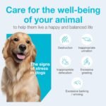 Vetoquinol Zylkene – Veterinary Health Product - Calm and Relaxed Behaviour in Pets During Stressful Events - 75 mg - Cats and Small Dogs - 30 Caps - Image 7