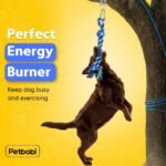 Petbobi Bungee Dog Toy, Outdoor Dog Tug Toy for Pitbull Interactive Exercise, Spring Pole Tug-of-War Toy with Durable Rope, Hanging Toy for Large Dogs to Reduce Boredom, Blue - Image 3