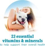 Beneful Incredibites Wet Dog Food for Small Dogs, Real Chicken & Salmon in Gravy Variety Pack - 85 g Can (12 Pack) - Image 7