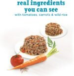 Beneful Incredibites Wet Dog Food for Small Dogs, Real Chicken & Salmon in Gravy Variety Pack - 85 g Can (12 Pack) - Image 9