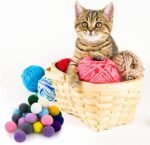 Molain Large Cat Toy Balls, Soft Cat Balls 1Inch Kitten Pom poms Ball Cat Play Toy (50 Pcs) - Image 8