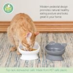 Kitty City Raised Cat Food Bowl Collection/Stress Free Pet Feeder and Waterer and Slow Feed Bowls - Image 3