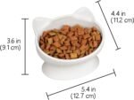 Kitty City Raised Cat Food Bowl Collection/Stress Free Pet Feeder and Waterer and Slow Feed Bowls - Image 4