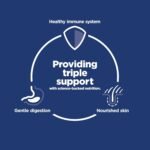 Hill's Science Diet Sensitive Stomach & Skin, Adult 1-6, Stomach & Skin Sensitivity Support, Dry Cat Food, Chicken & Rice, 3.5 lb Bag - Image 4