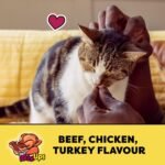 TEMPTATIONS Mix-Ups Cat Treats, (Chicken, Turkey & Beef Flavour), 454g Tub - Image 4