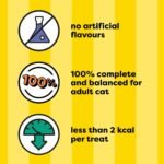 TEMPTATIONS Mix-Ups Cat Treats, (Chicken, Turkey & Beef Flavour), 454g Tub - Image 6