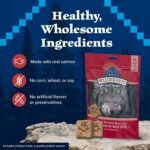 Blue Buffalo Wilderness Trail Treats High Protein Grain Free Crunchy Dog Treats Biscuits, Salmon Recipe 283G Bag, 10Oz - Image 7