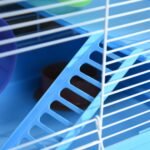 PawHut 2-Level Hamster Cage Rodent Gerbil House Mouse Mice Rat Habitat Metal Wire with Exercise Wheel, Play Tubes, Water Bottle, Food Dishes, & Interior Ladder - Image 10