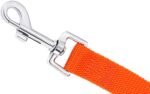 AmaGood Dog/Puppy Obedience Recall Training Agility Lead-15 ft 20 ft 30 ft 50 ft Long Leash-for Dog Training,Recall,Play,Safety,Camping(20FT,Orange) - Image 4